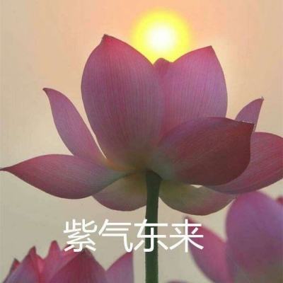 天天养鱼赚钱